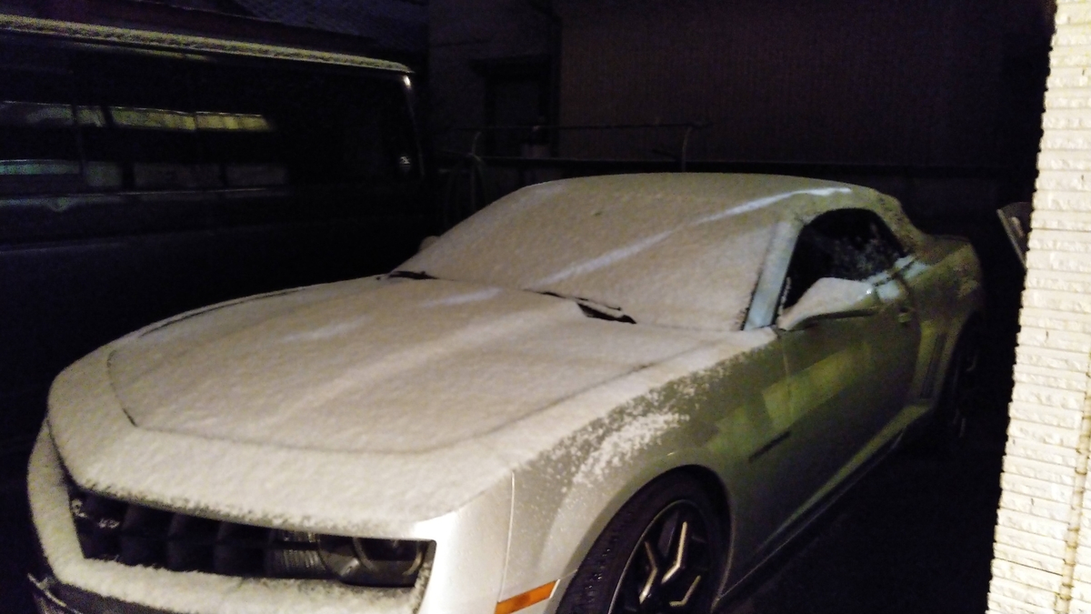 f:id:ssshoutenn:20210130044527j:plain