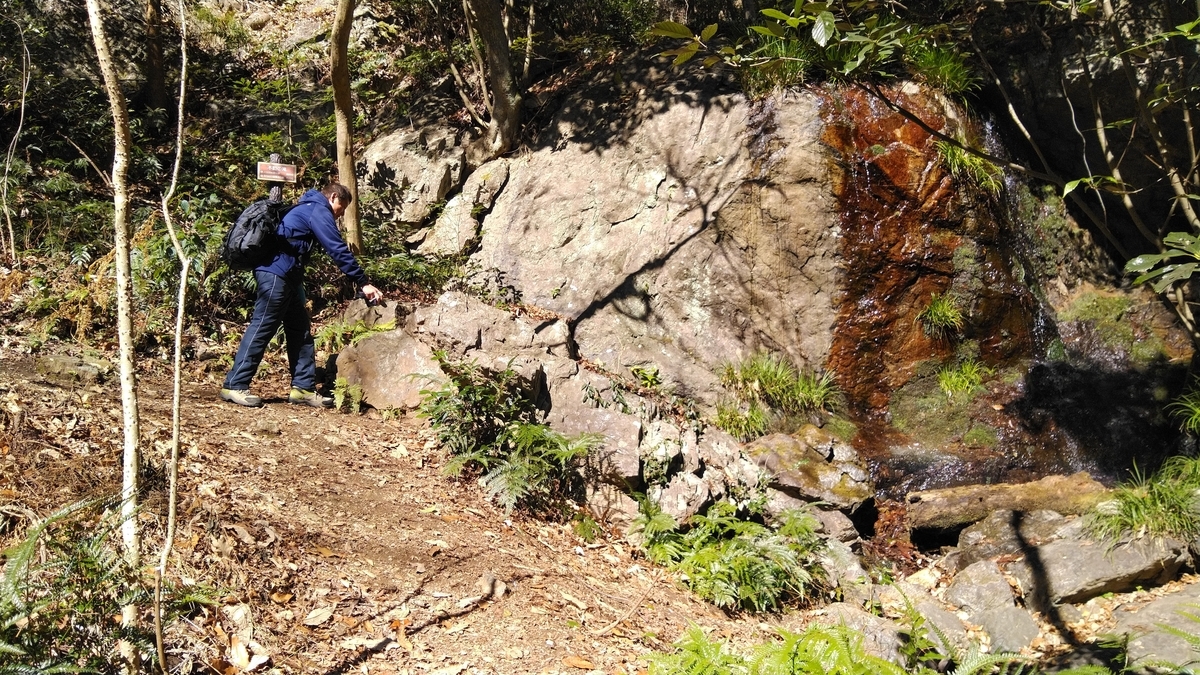 f:id:ssshoutenn:20210130112351j:plain