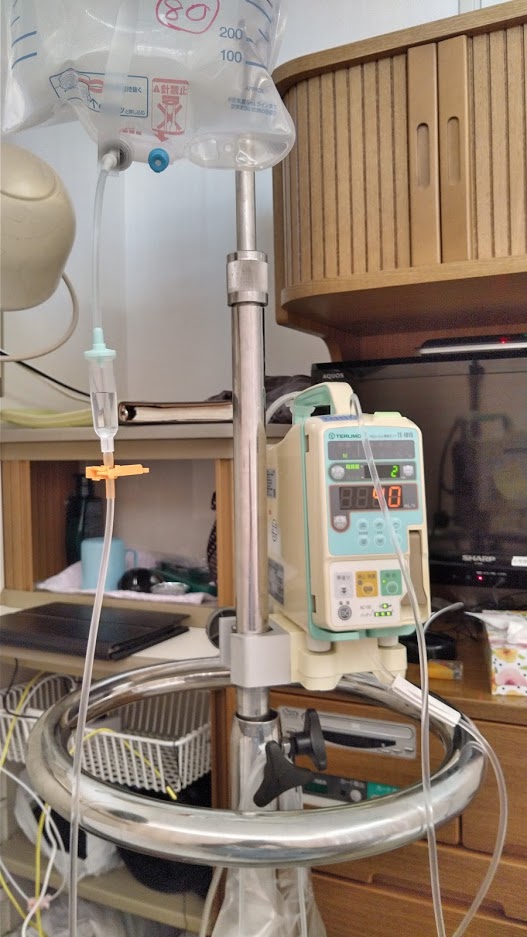 f:id:ssshoutenn:20210201090706j:plain