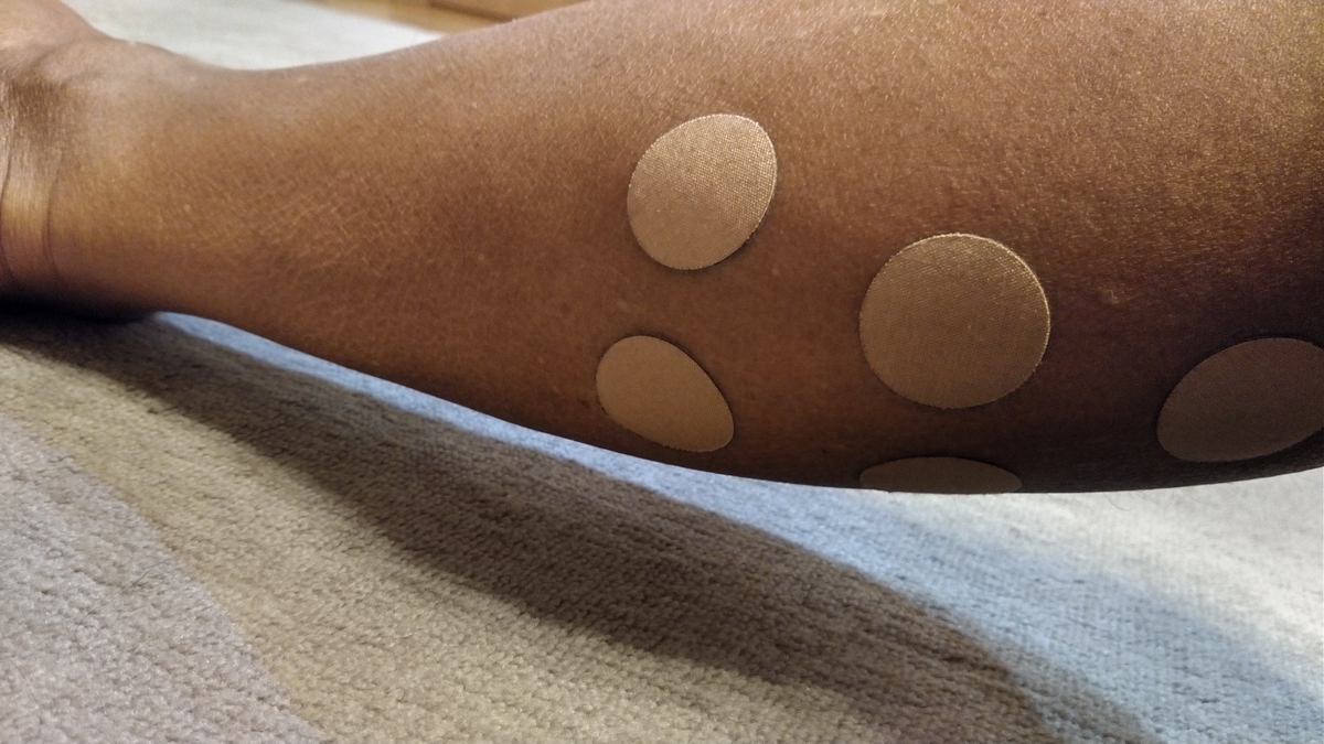 f:id:ssshoutenn:20210307222733j:plain