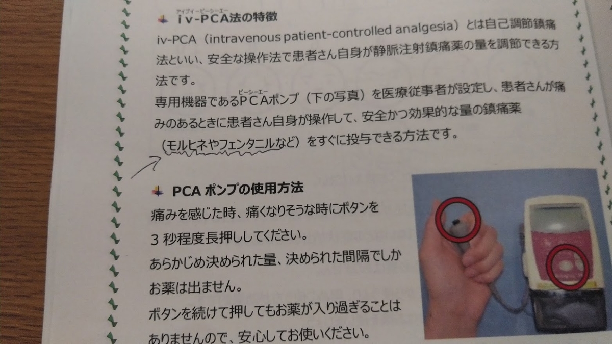 f:id:ssshoutenn:20210330064917j:plain