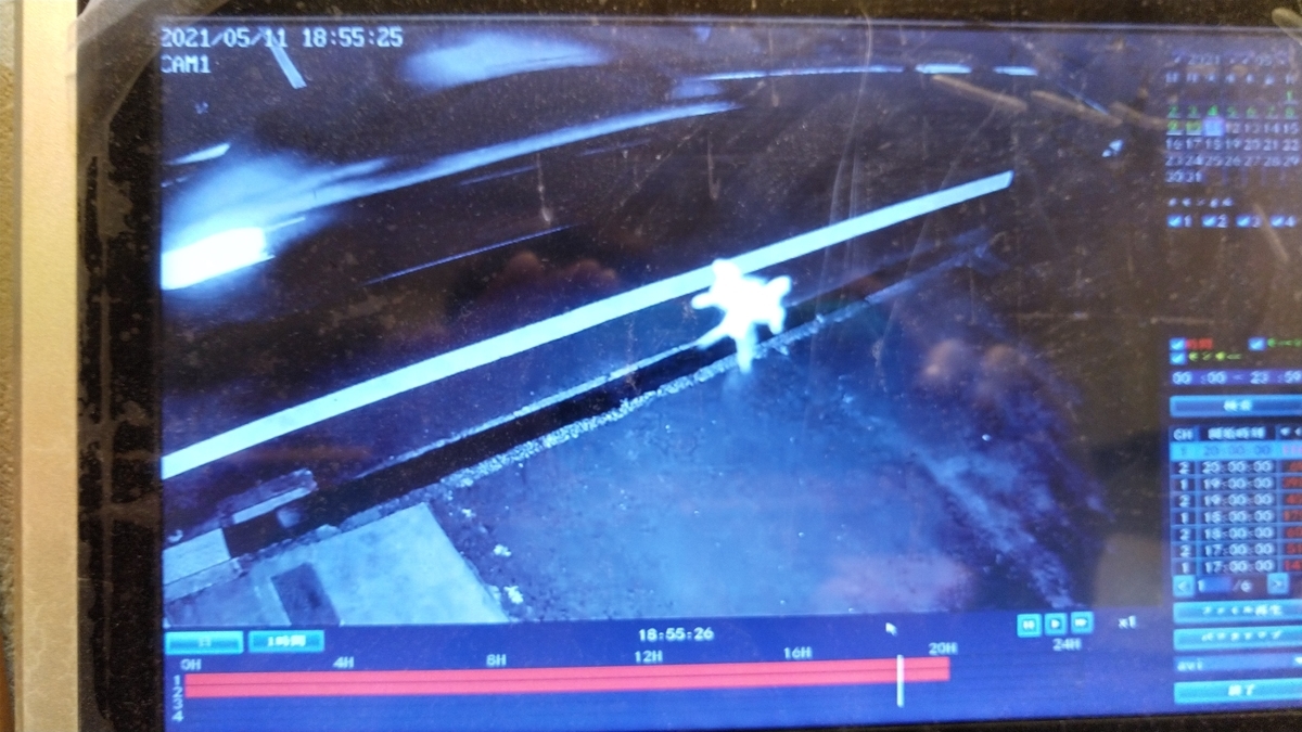 f:id:ssshoutenn:20210511204114j:plain