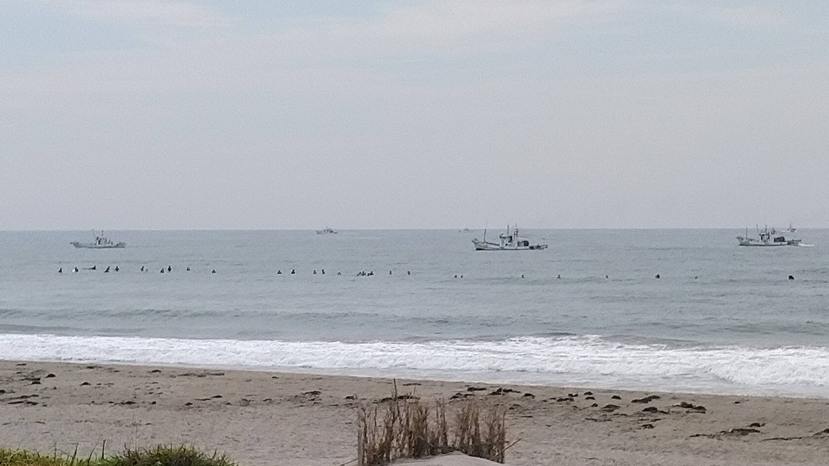 f:id:ssshoutenn:20210628090801j:plain