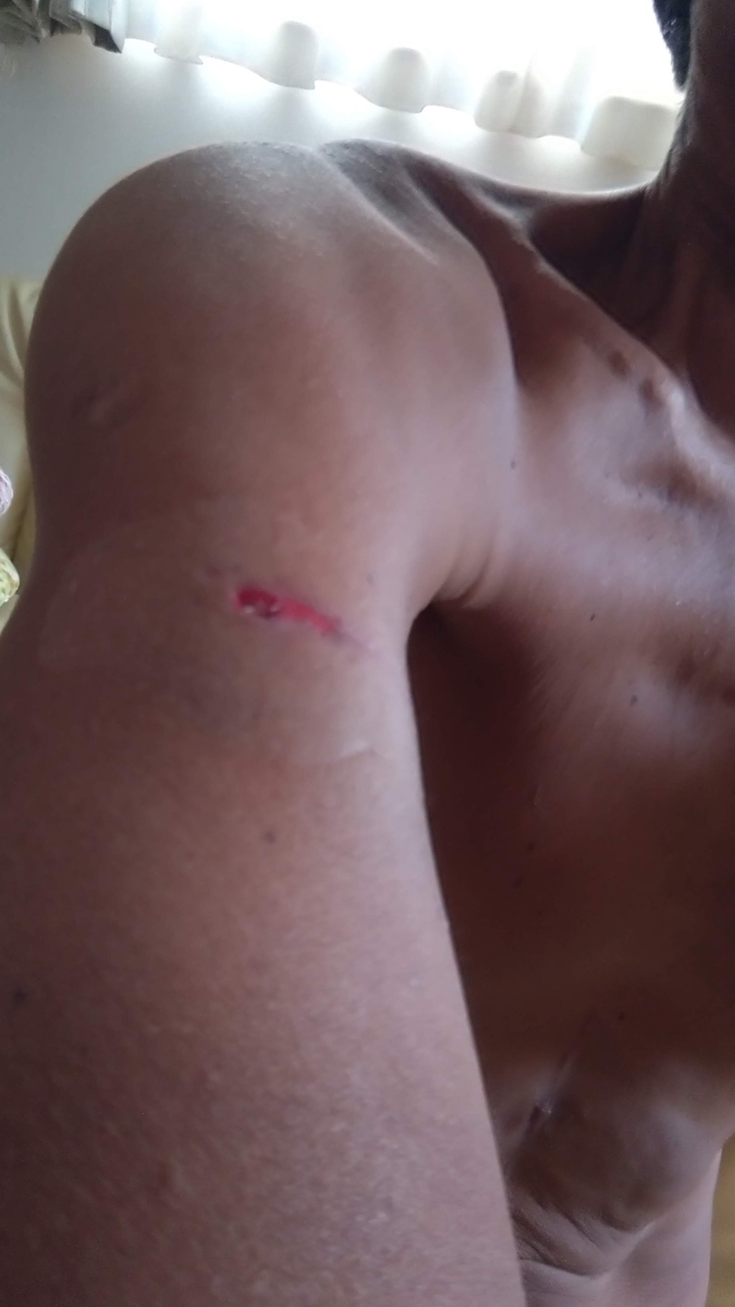 f:id:ssshoutenn:20210703153841j:plain