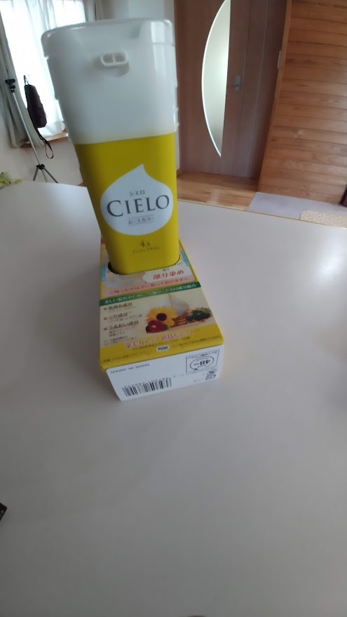 f:id:ssshoutenn:20210720094702j:plain