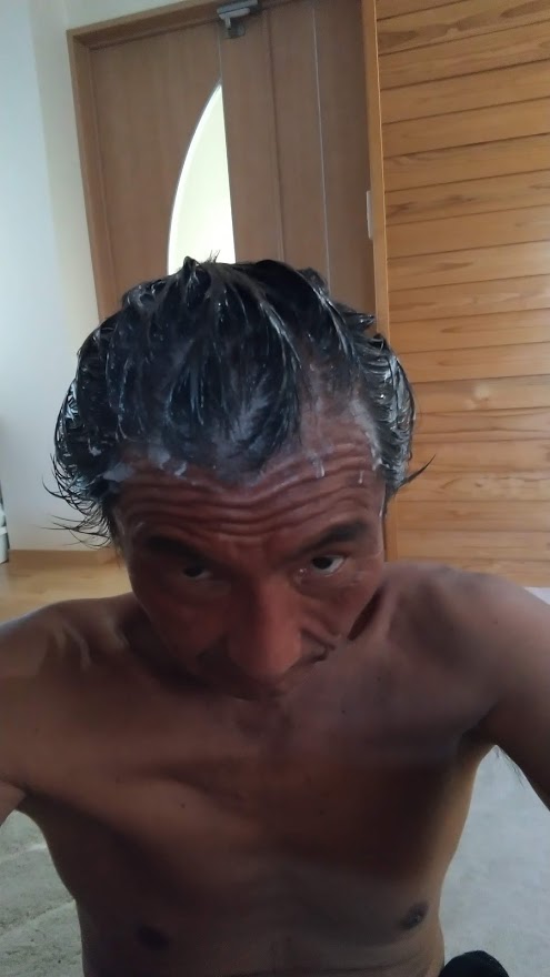 f:id:ssshoutenn:20210720094754j:plain