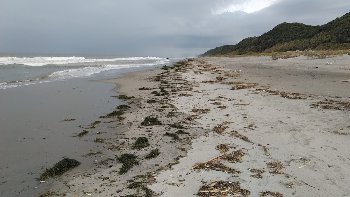 f:id:ssshoutenn:20210821064637j:plain