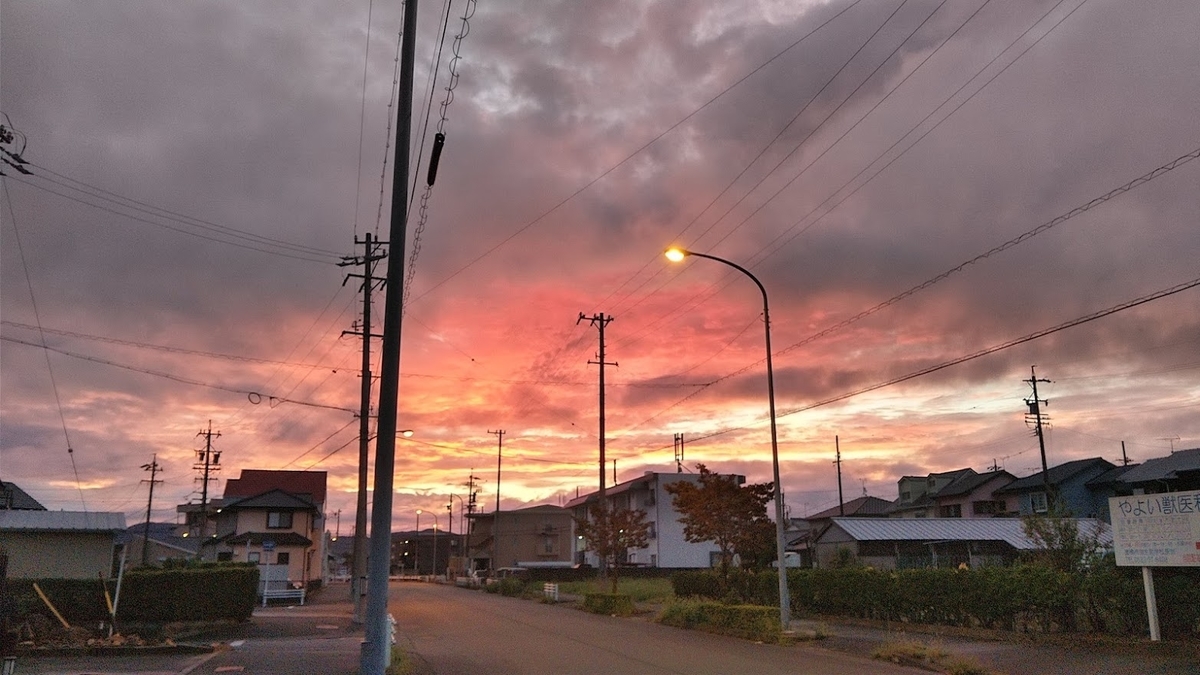 f:id:ssshoutenn:20210821071651j:plain