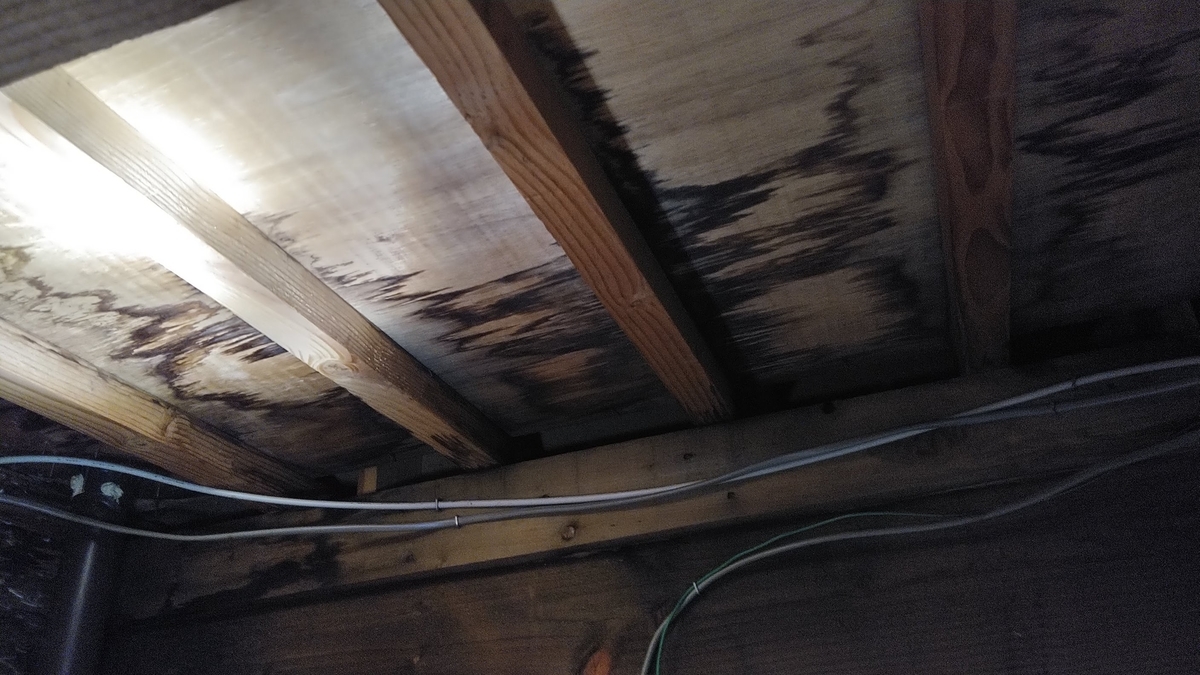 f:id:ssshoutenn:20210831170913j:plain