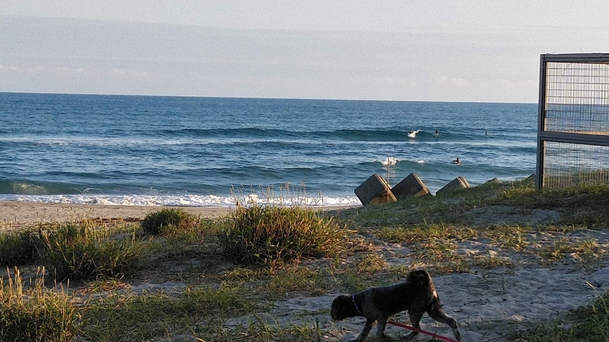 f:id:ssshoutenn:20210916071252j:plain