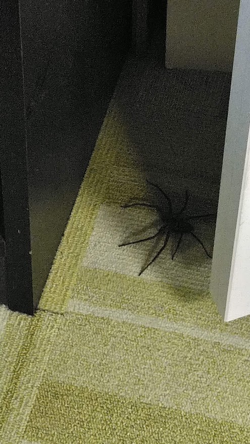 f:id:ssshoutenn:20210916072654j:plain