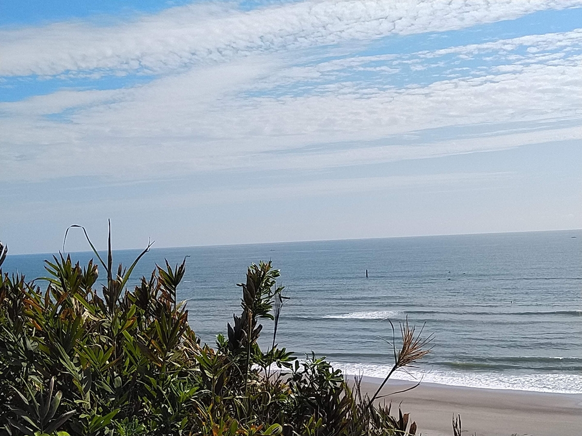 f:id:ssshoutenn:20211008111523j:plain