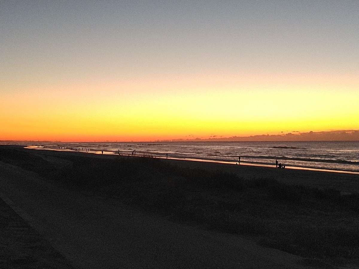 f:id:ssshoutenn:20211113055918j:plain