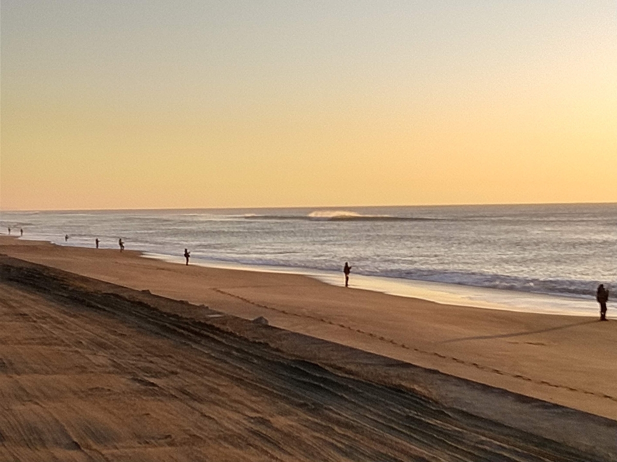 f:id:ssshoutenn:20211211070255j:plain