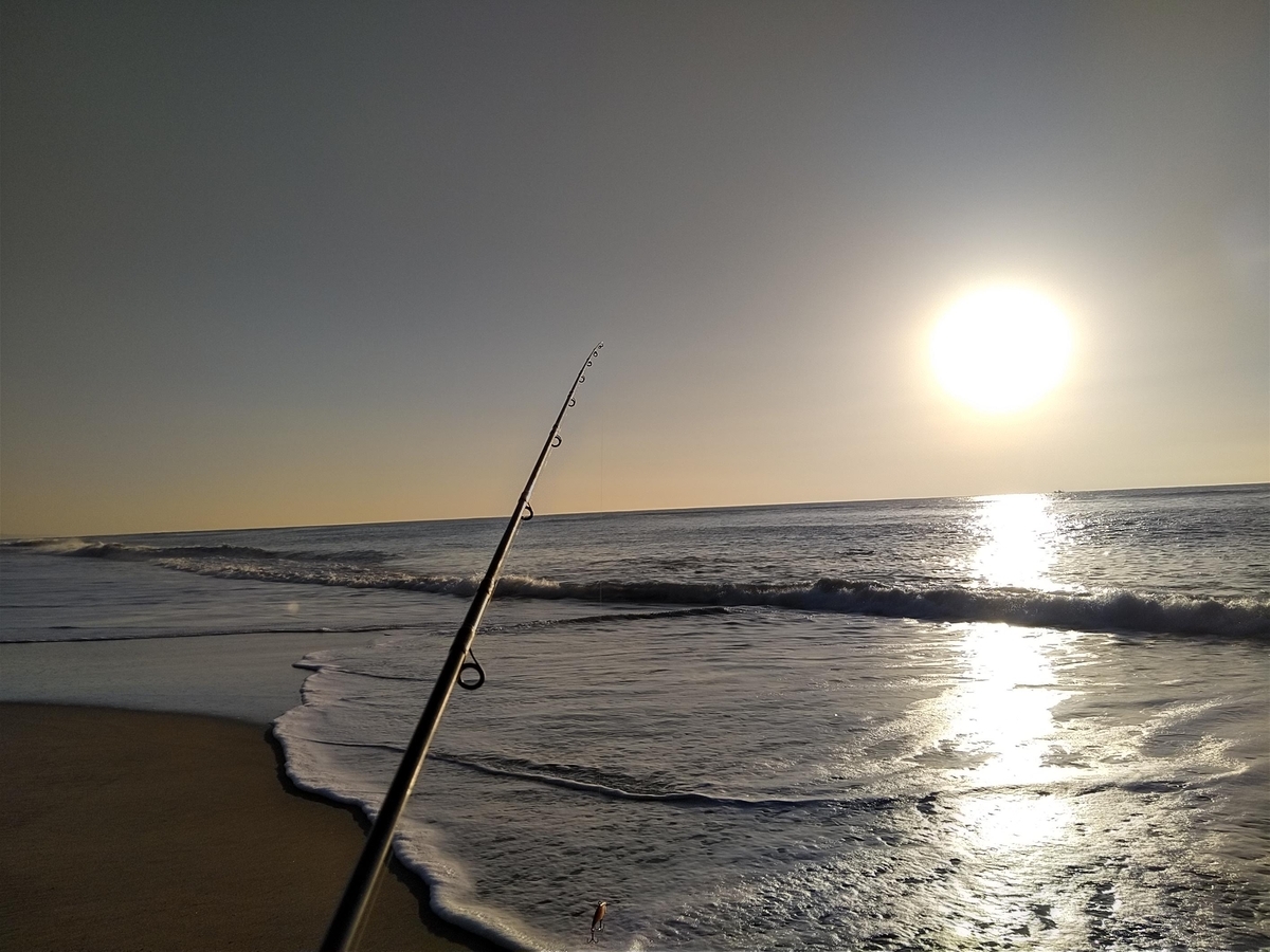 f:id:ssshoutenn:20211211073731j:plain