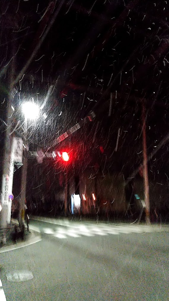 f:id:ssshoutenn:20220114073954j:plain