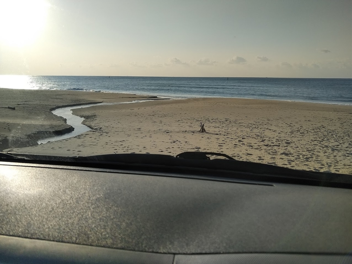 f:id:ssshoutenn:20220307080432j:plain