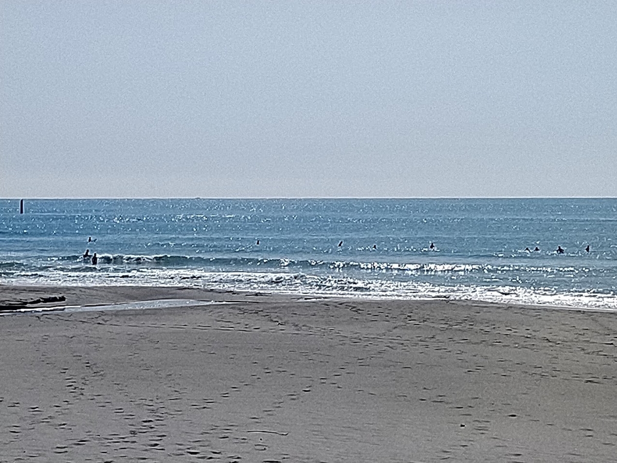 f:id:ssshoutenn:20220317082407j:plain