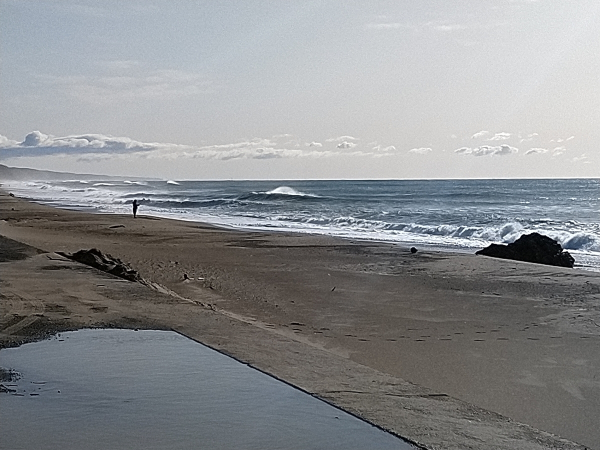 f:id:ssshoutenn:20220319074447j:plain