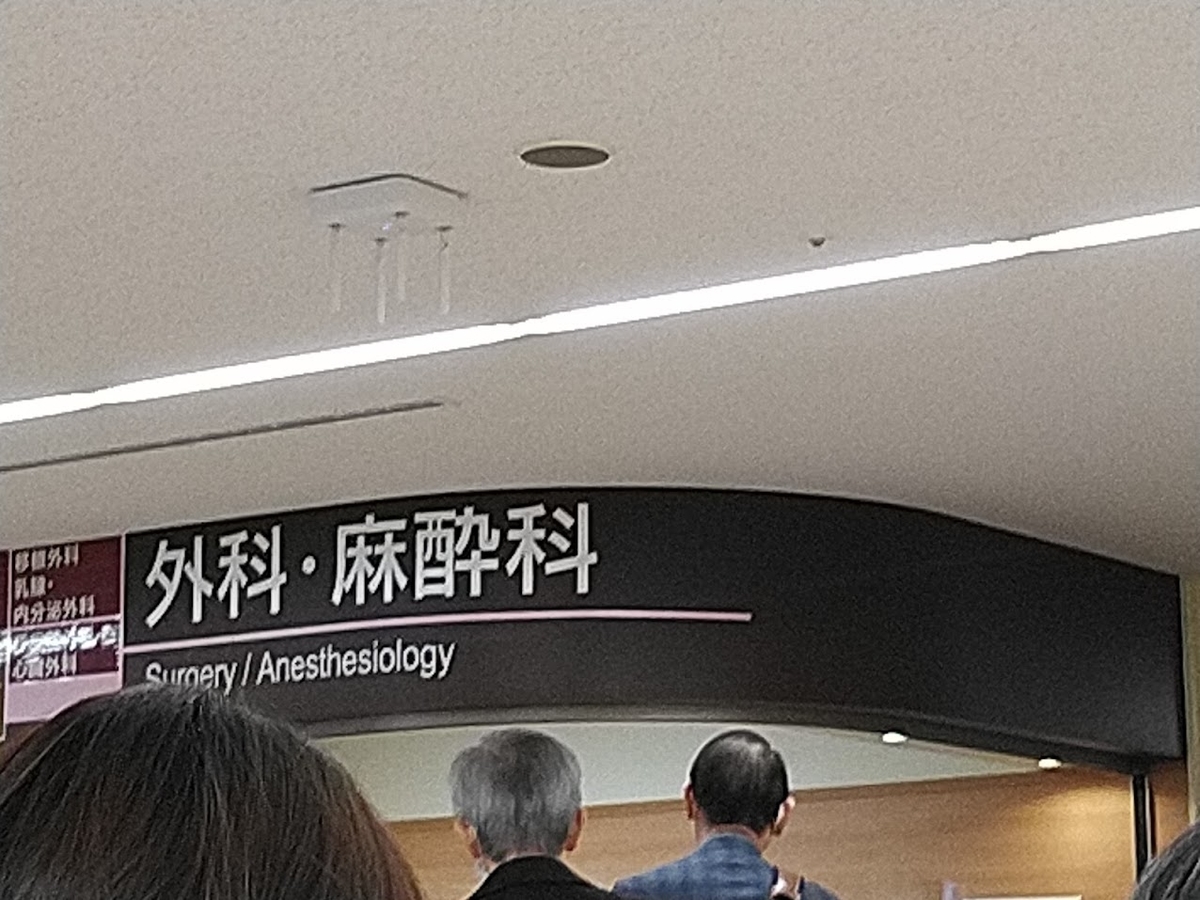 f:id:ssshoutenn:20220323065657j:plain