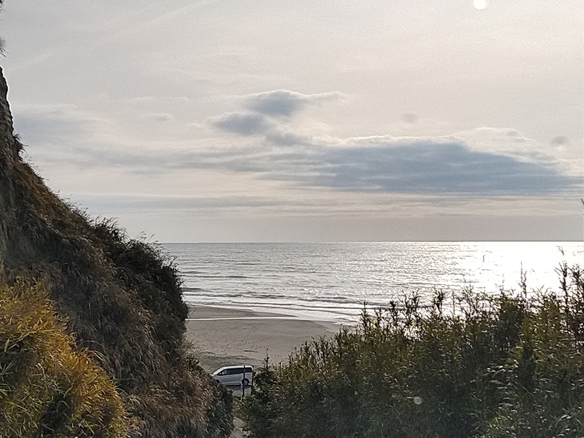 f:id:ssshoutenn:20220323074742j:plain