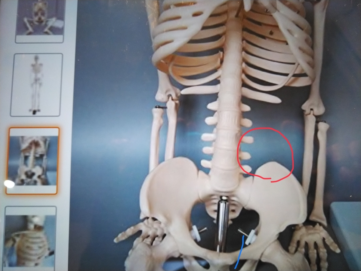 f:id:ssshoutenn:20220409055016j:plain