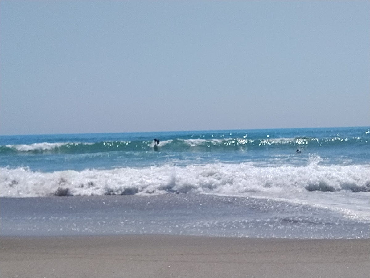 f:id:ssshoutenn:20220411075212j:plain