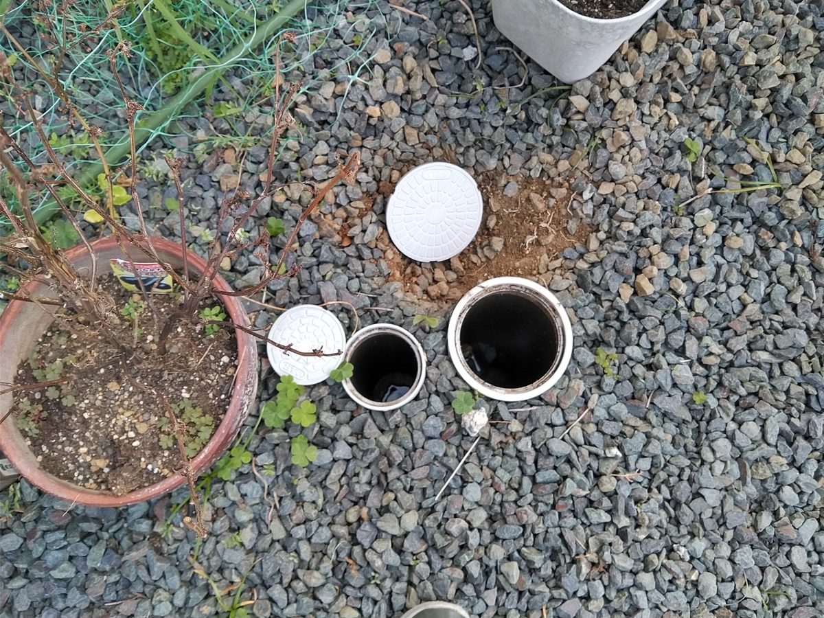 傾く なら 傾き 通せ: 虎は何故強いと思う もともと強いからよ – Pebble Maths