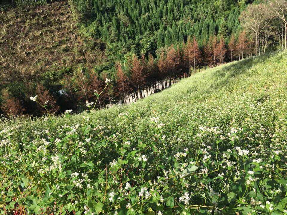 f:id:ssshumpei:20171003174721j:plain f:id:ssshumpei:20171003174721j:plain