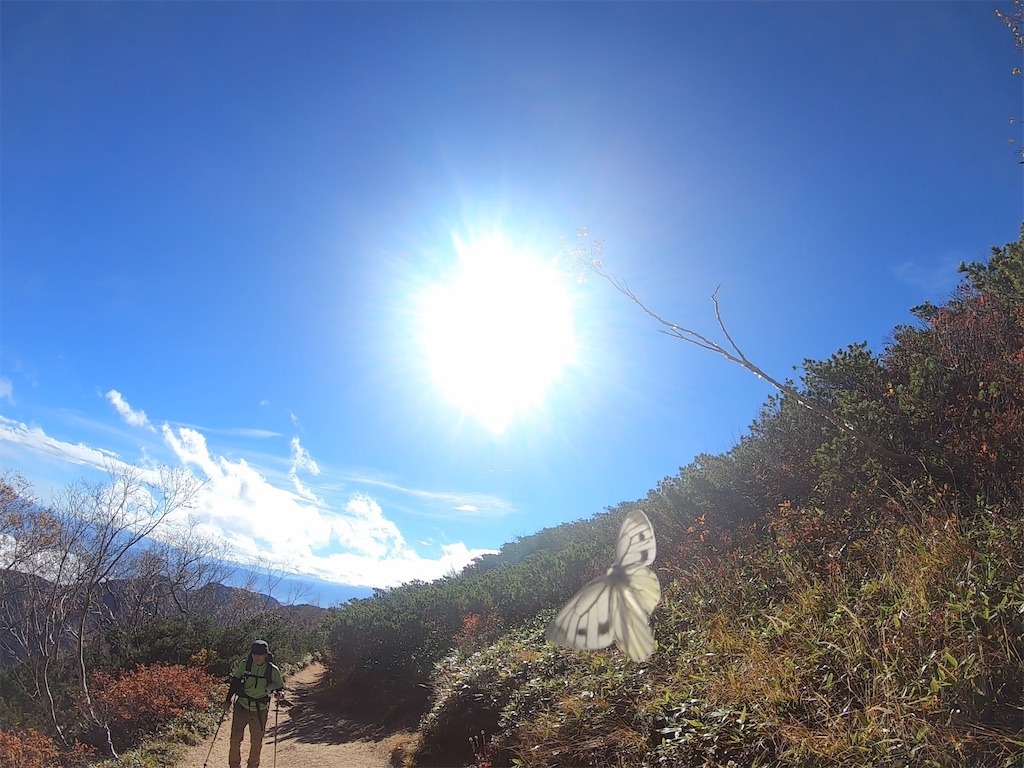 f:id:sssishinomaki:20181117071900j:image