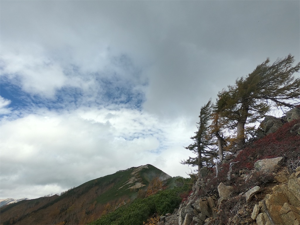 f:id:sssishinomaki:20181118211219j:image