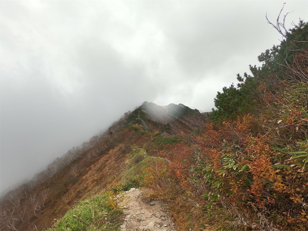 f:id:sssishinomaki:20181118212202j:image