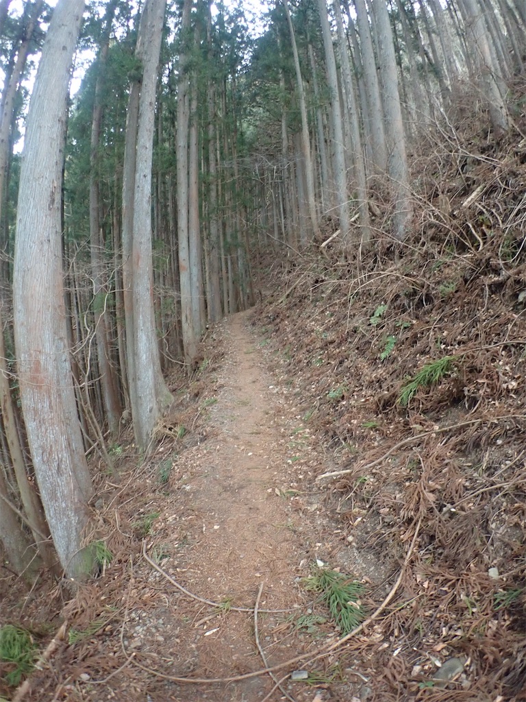f:id:sssishinomaki:20190222183531j:image