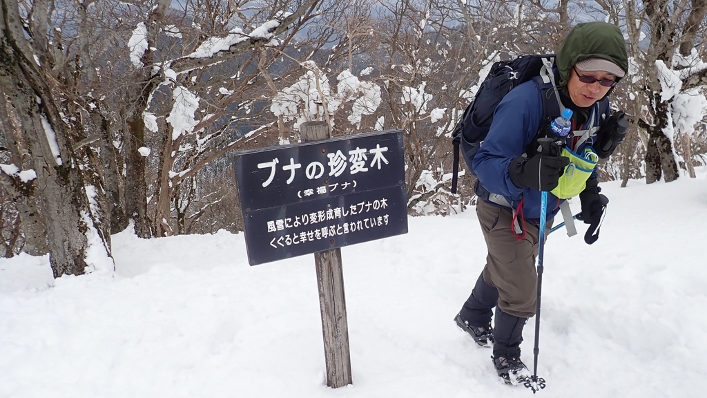f:id:ssskypark:20190204233312j:plain