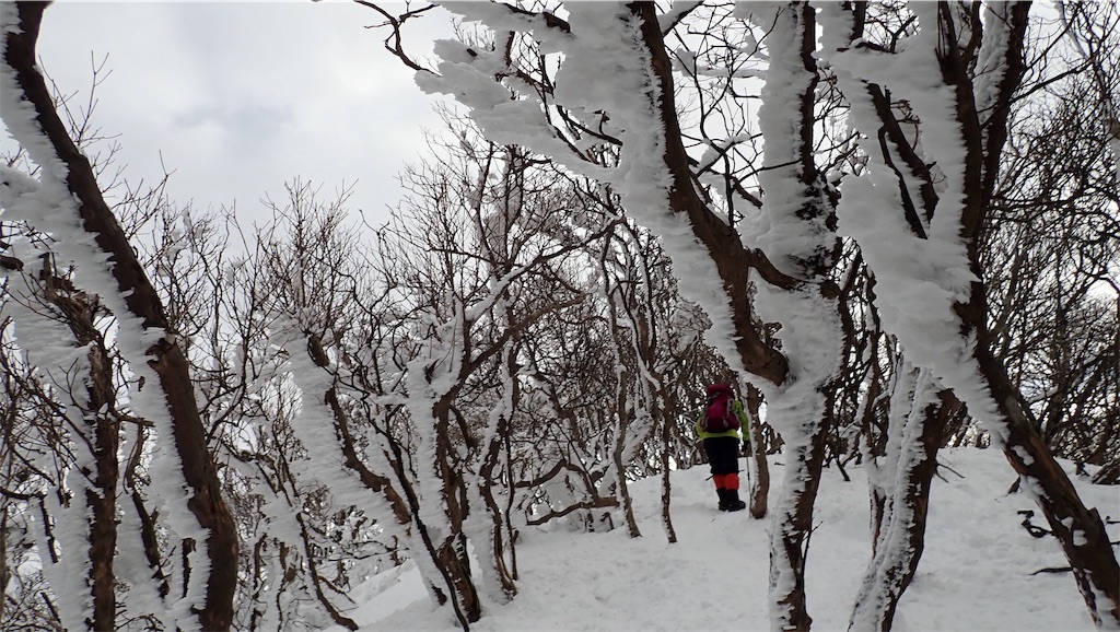 f:id:ssskypark:20190206034825j:image