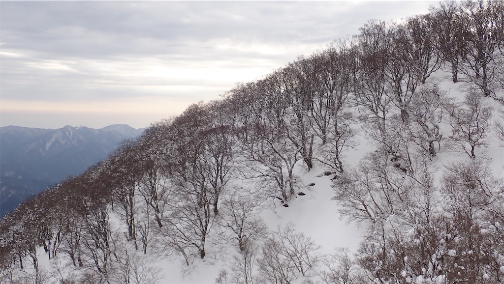 f:id:ssskypark:20190206034838j:image