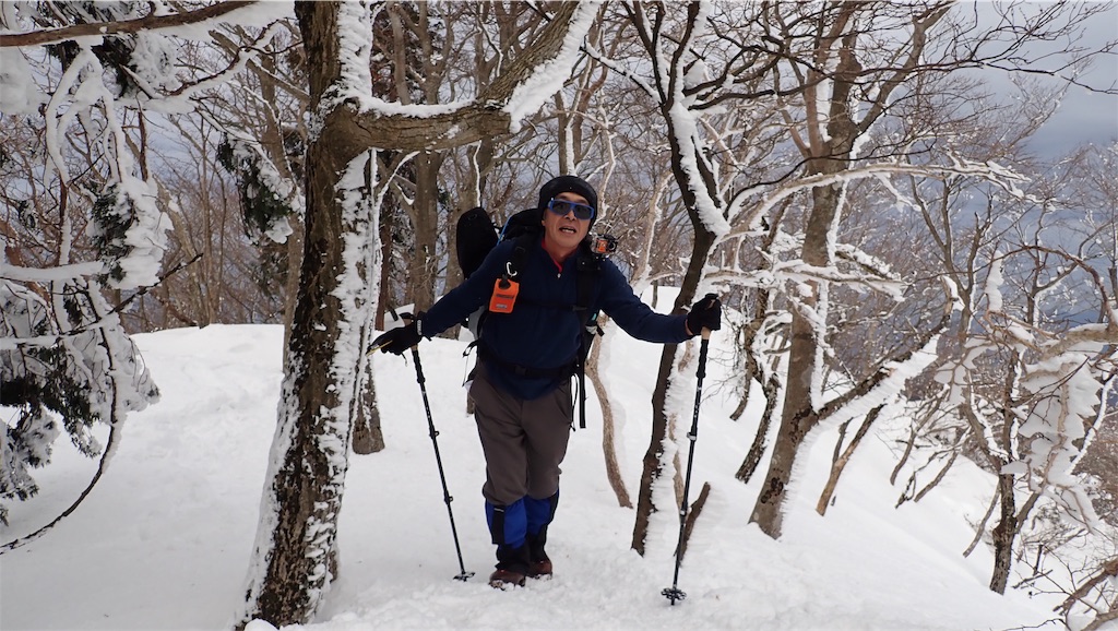 f:id:ssskypark:20190206034850j:image