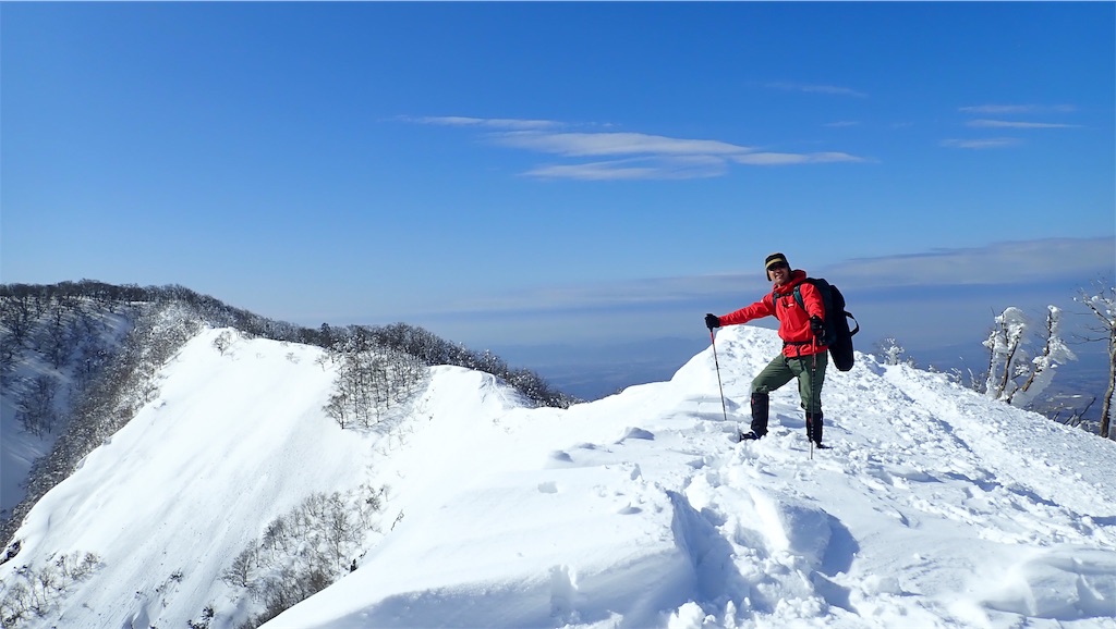 f:id:ssskypark:20190206034902j:image