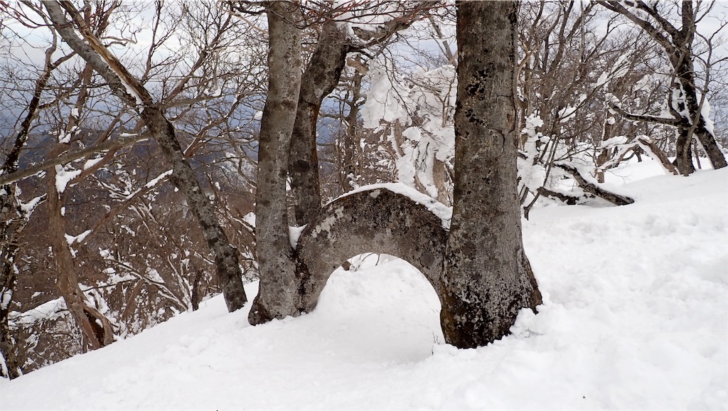 f:id:ssskypark:20190206034906j:image