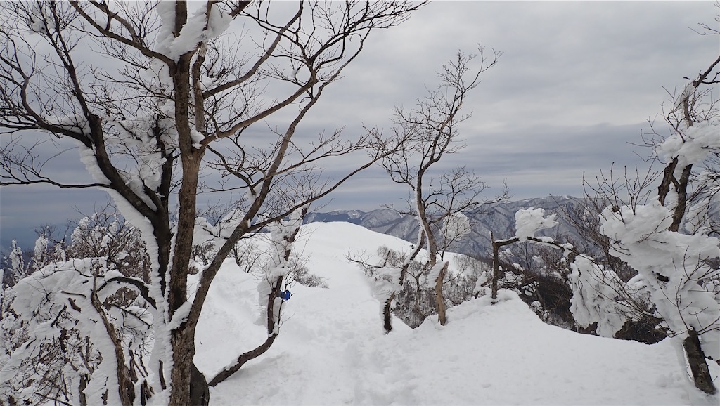 f:id:ssskypark:20190206034922j:image