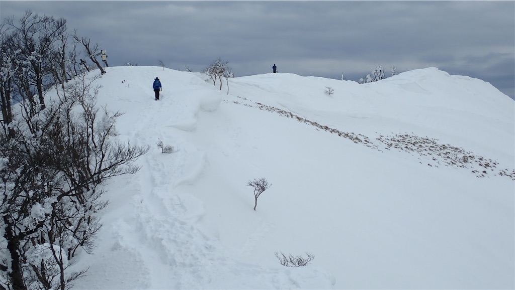 f:id:ssskypark:20190206034941j:image
