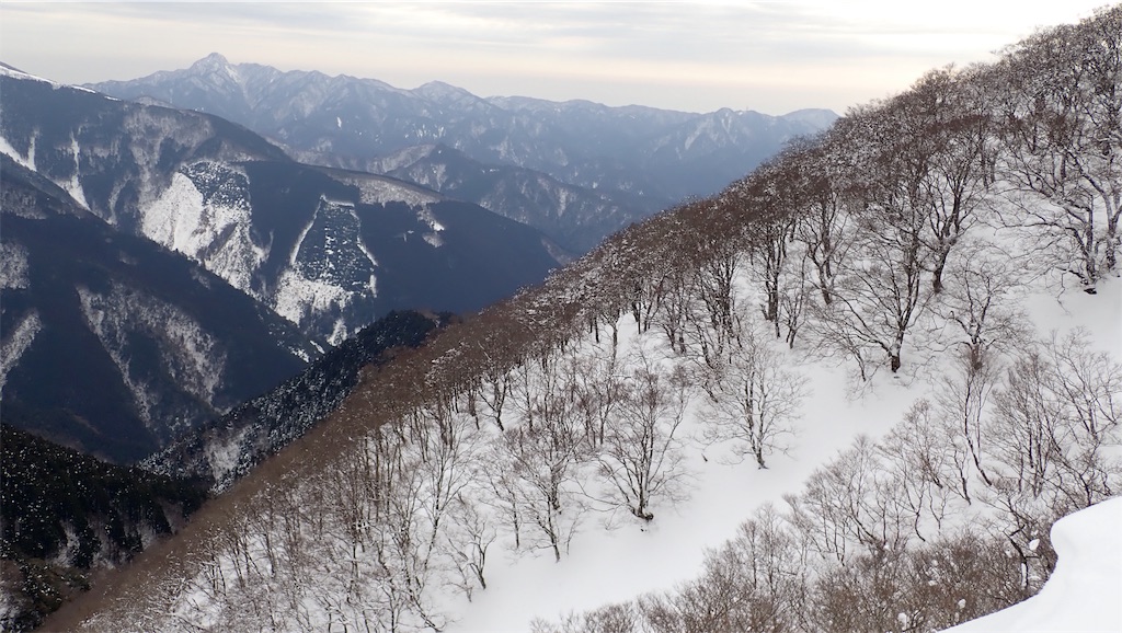 f:id:ssskypark:20190206034946j:image