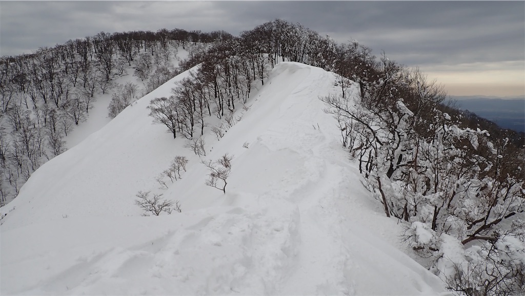 f:id:ssskypark:20190206035003j:image