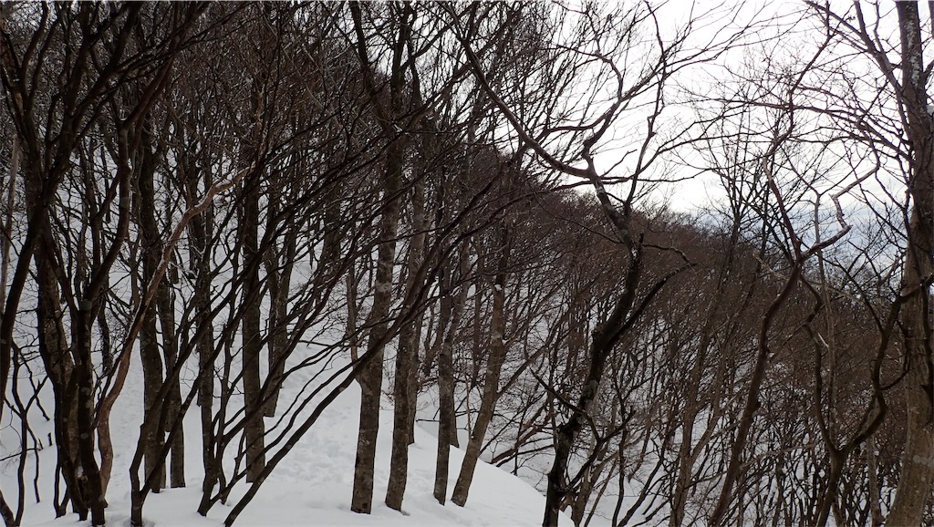 f:id:ssskypark:20190206035021j:image