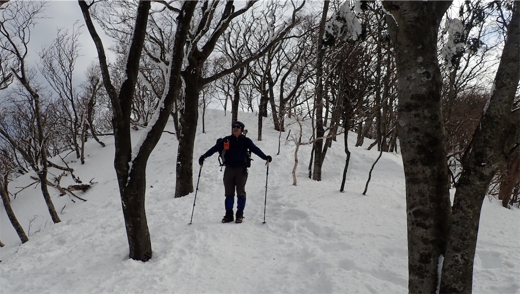 f:id:ssskypark:20190206035029j:image