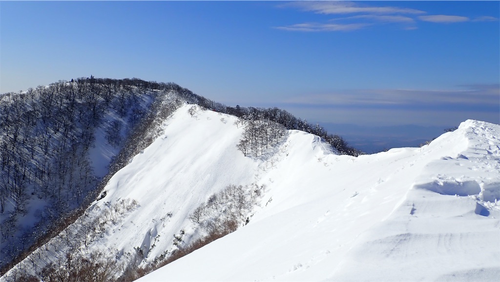 f:id:ssskypark:20190206035039j:image