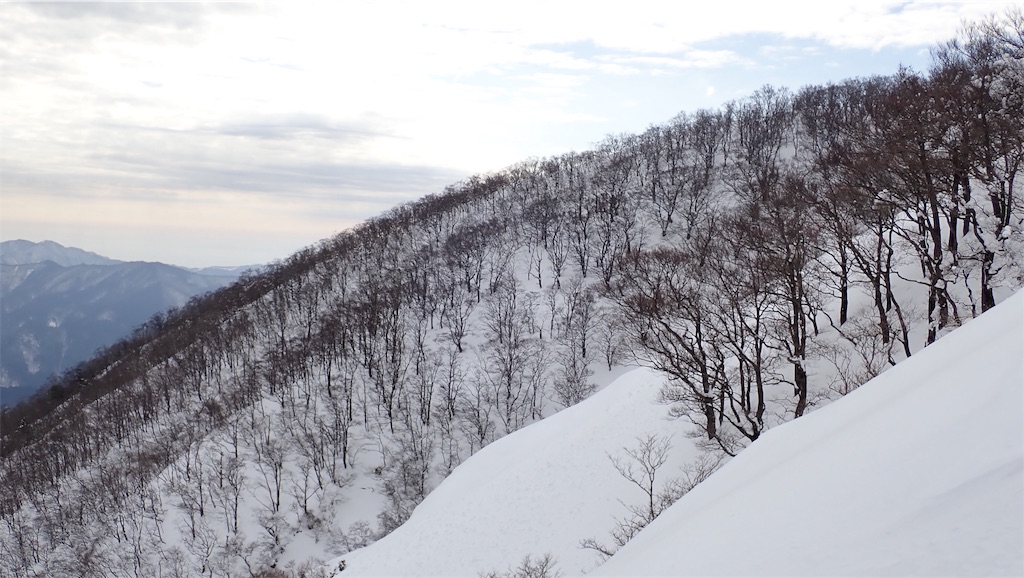 f:id:ssskypark:20190206035102j:image