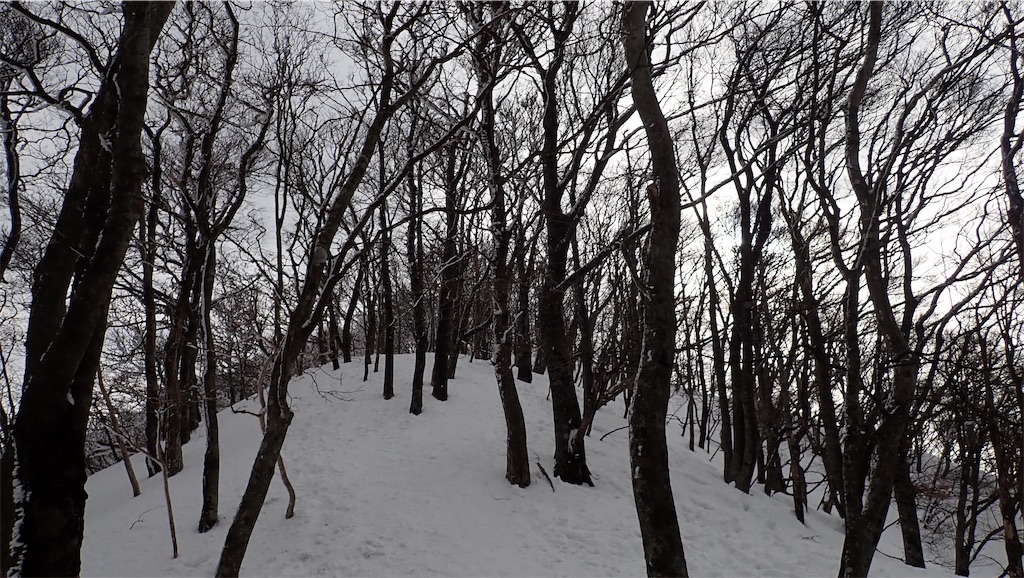 f:id:ssskypark:20190206035114j:image