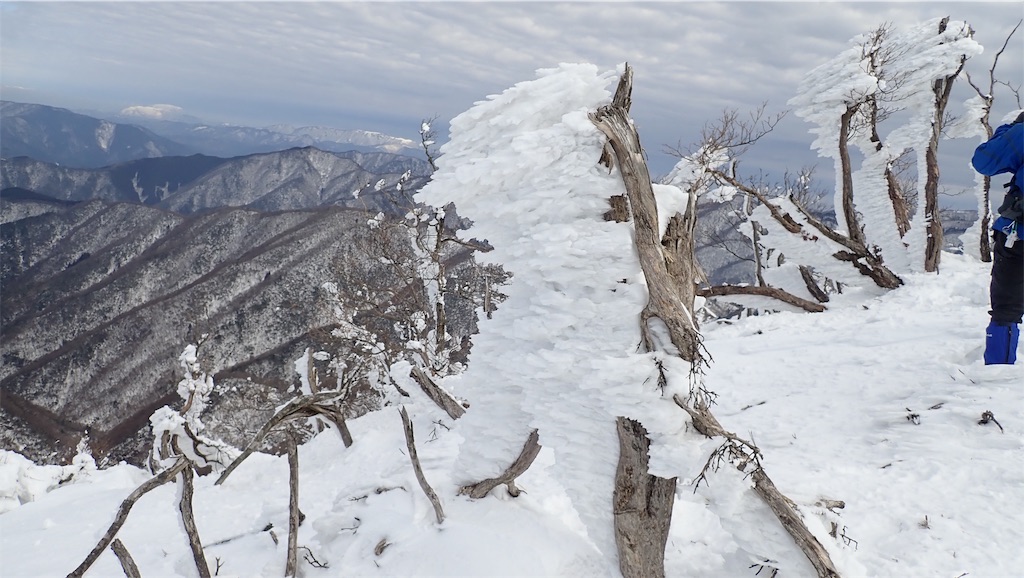 f:id:ssskypark:20190206035129j:image