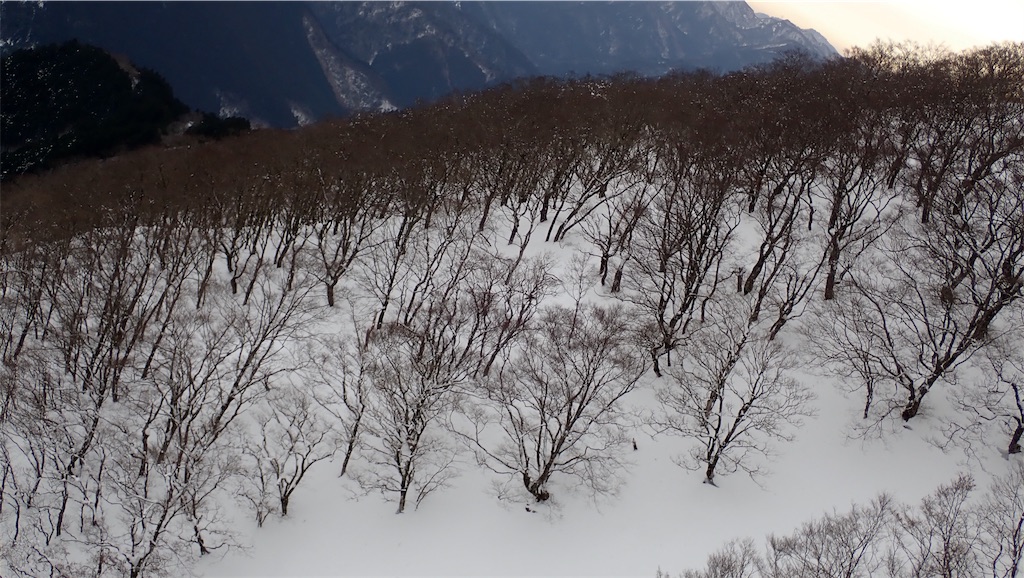 f:id:ssskypark:20190206035142j:image